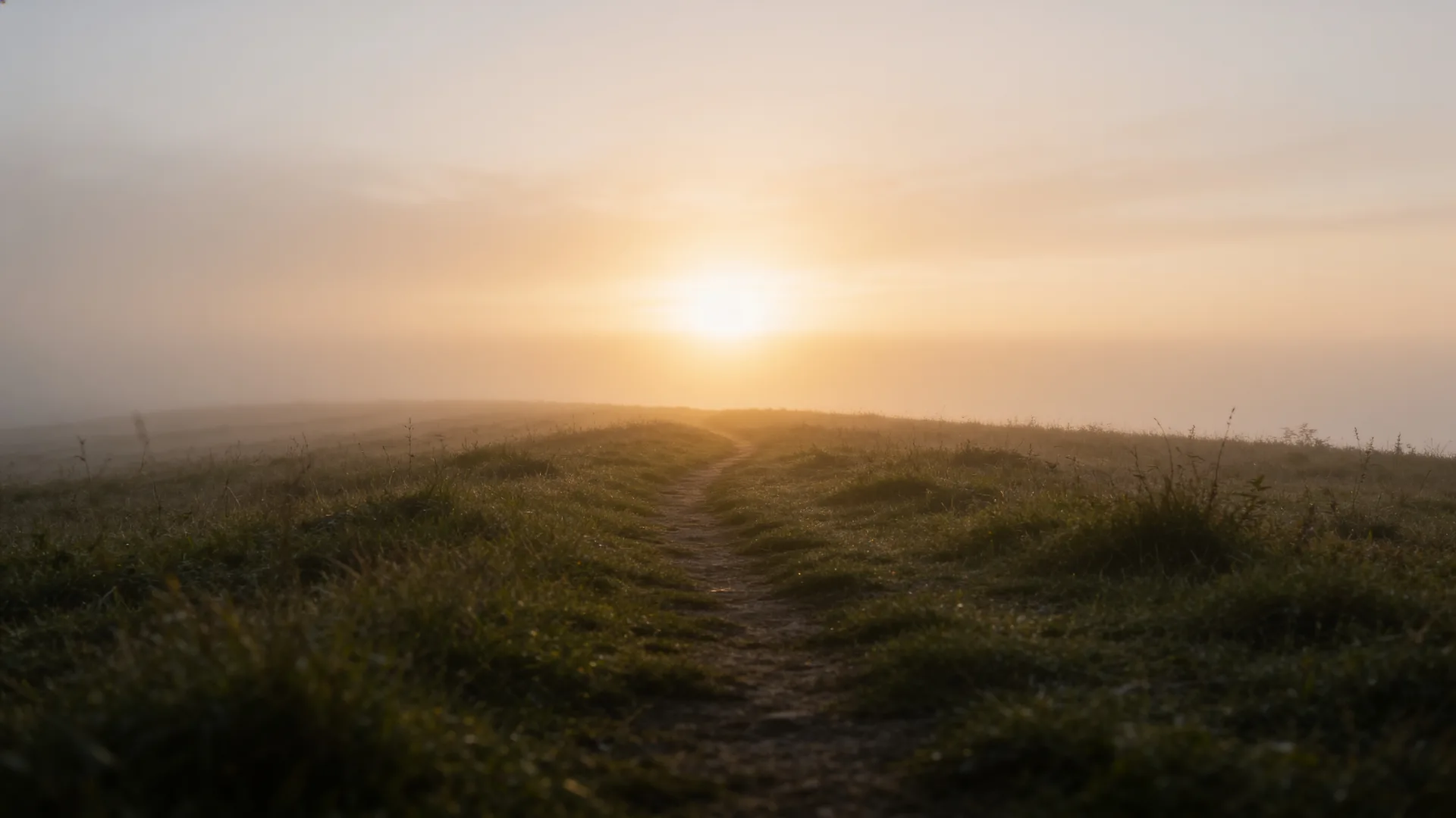 Ein schmaler Pfad durch eine taunasse Wiese führt auf einen weichen, nebligen Horizont zu, hinter dem warmes Morgenlicht aufgeht – ein ruhiges Bild für die Frage, was nach dem Tod kommt